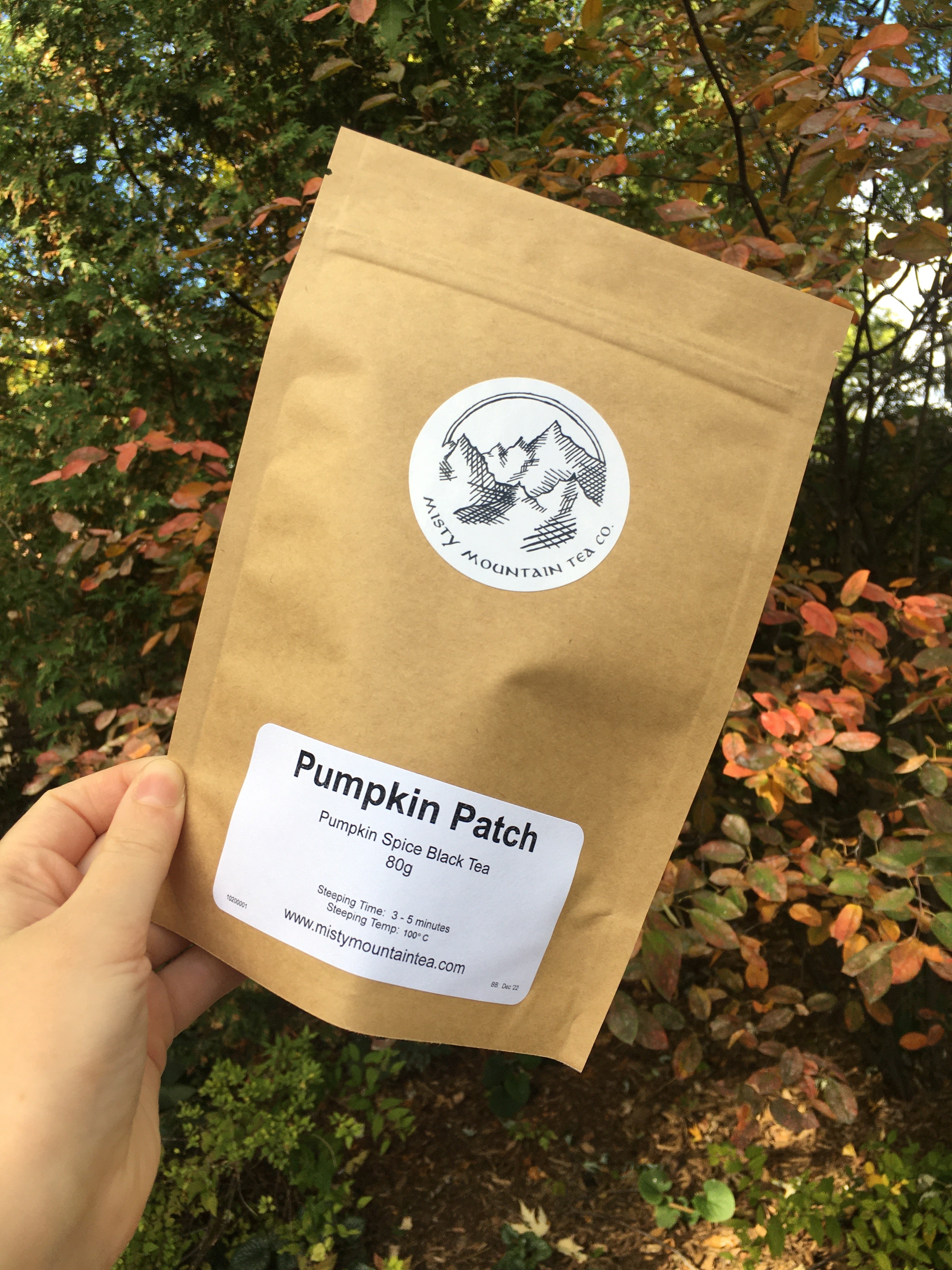 Pumpkin Patch - Pumpkin Spice Black Tea
