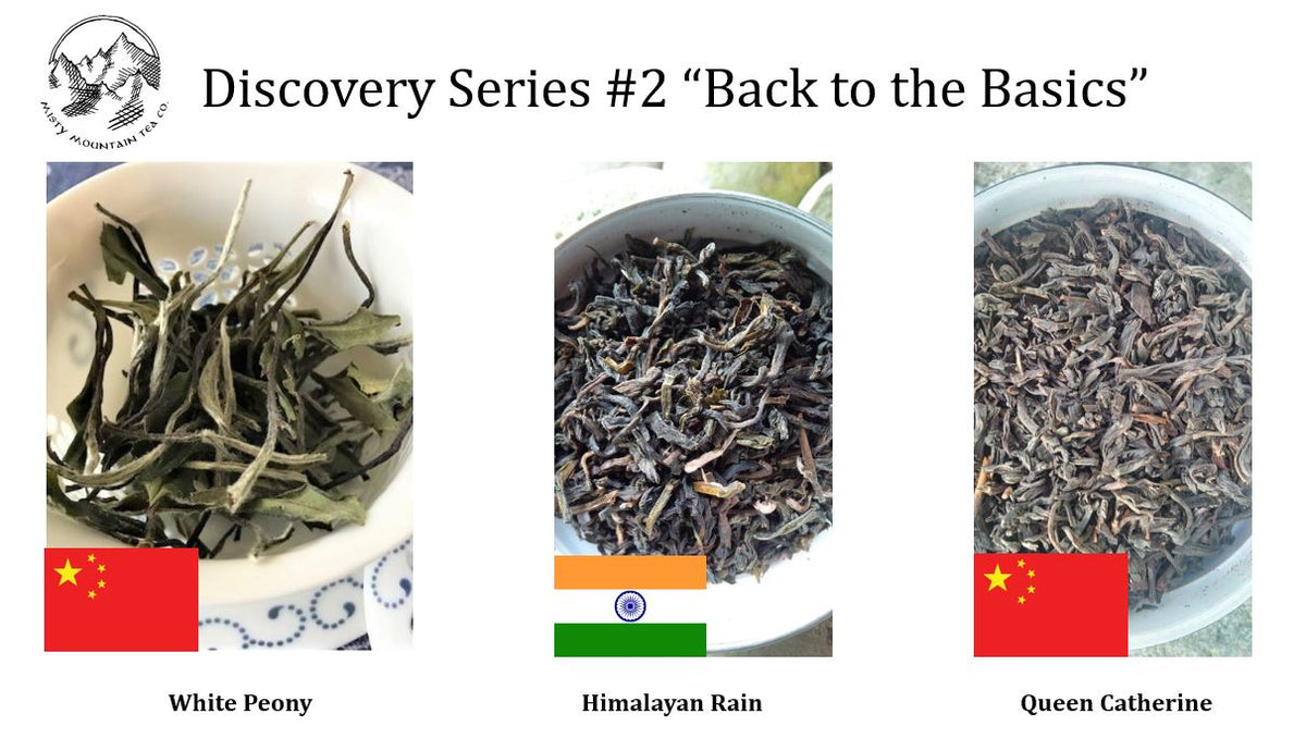 Misty Ridge Tea Discover