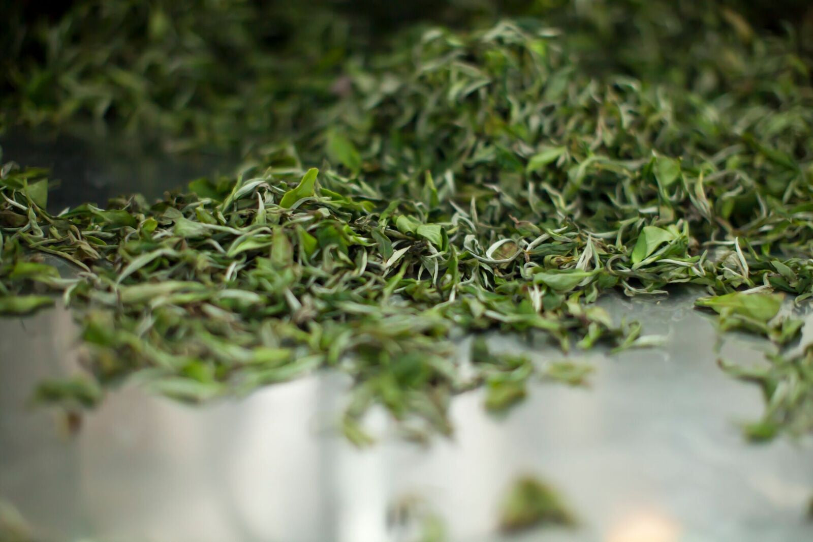 LaKyrsiew Cloud Tea 1st Flush