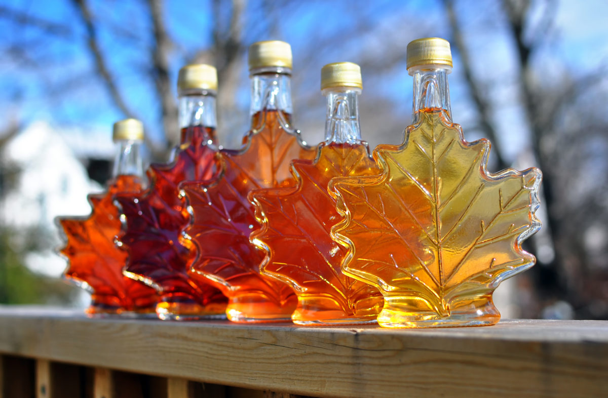 Sinzibuckwud - Maple Black Tea